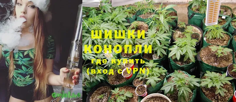 Бошки Шишки Ganja  Нижнекамск 